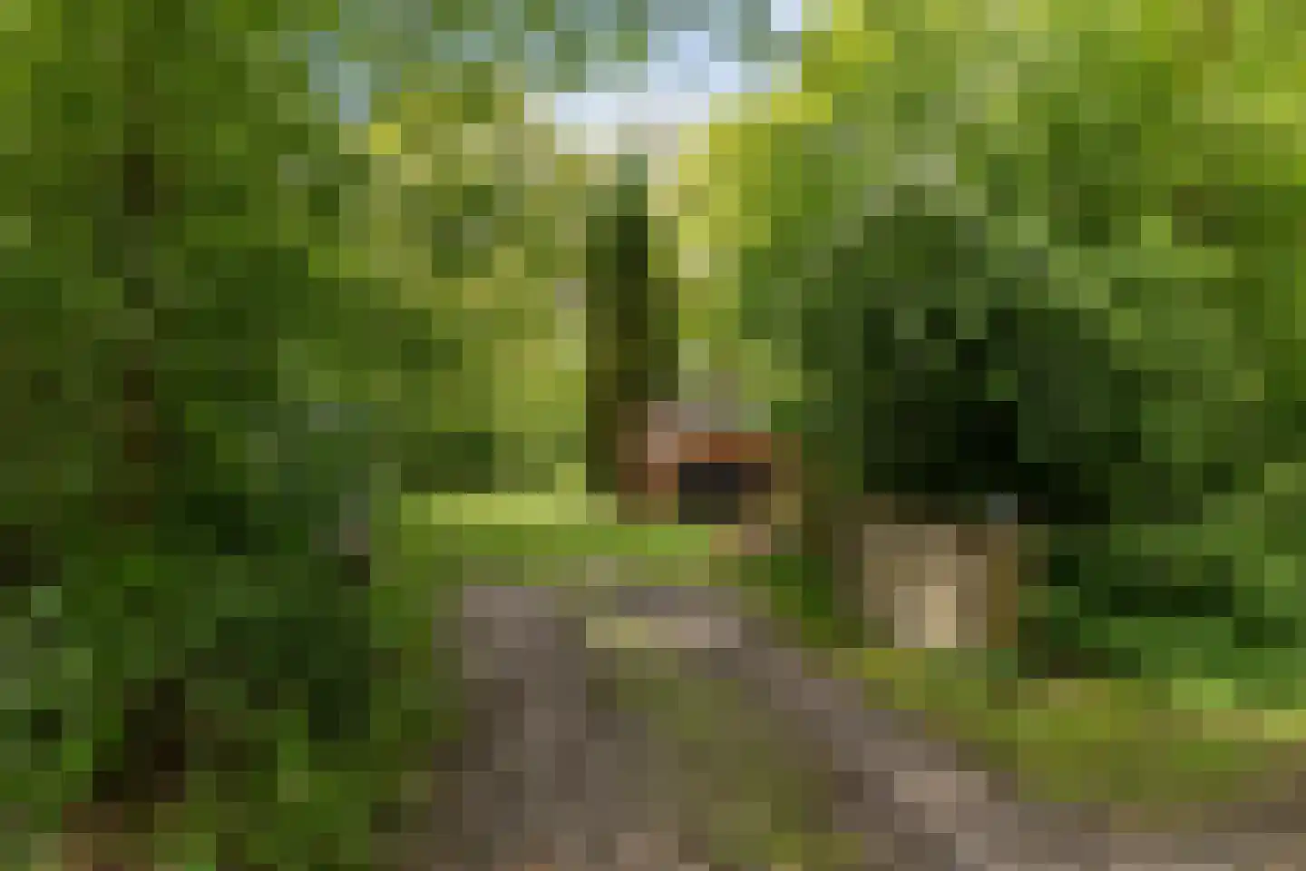 Slenerweg 83 41 Schoonoord thumbnail 5
