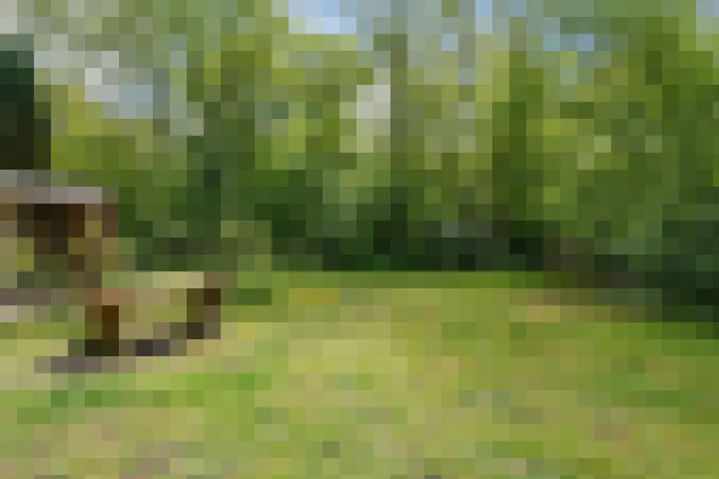 Slenerweg 83 41 Schoonoord thumbnail 7