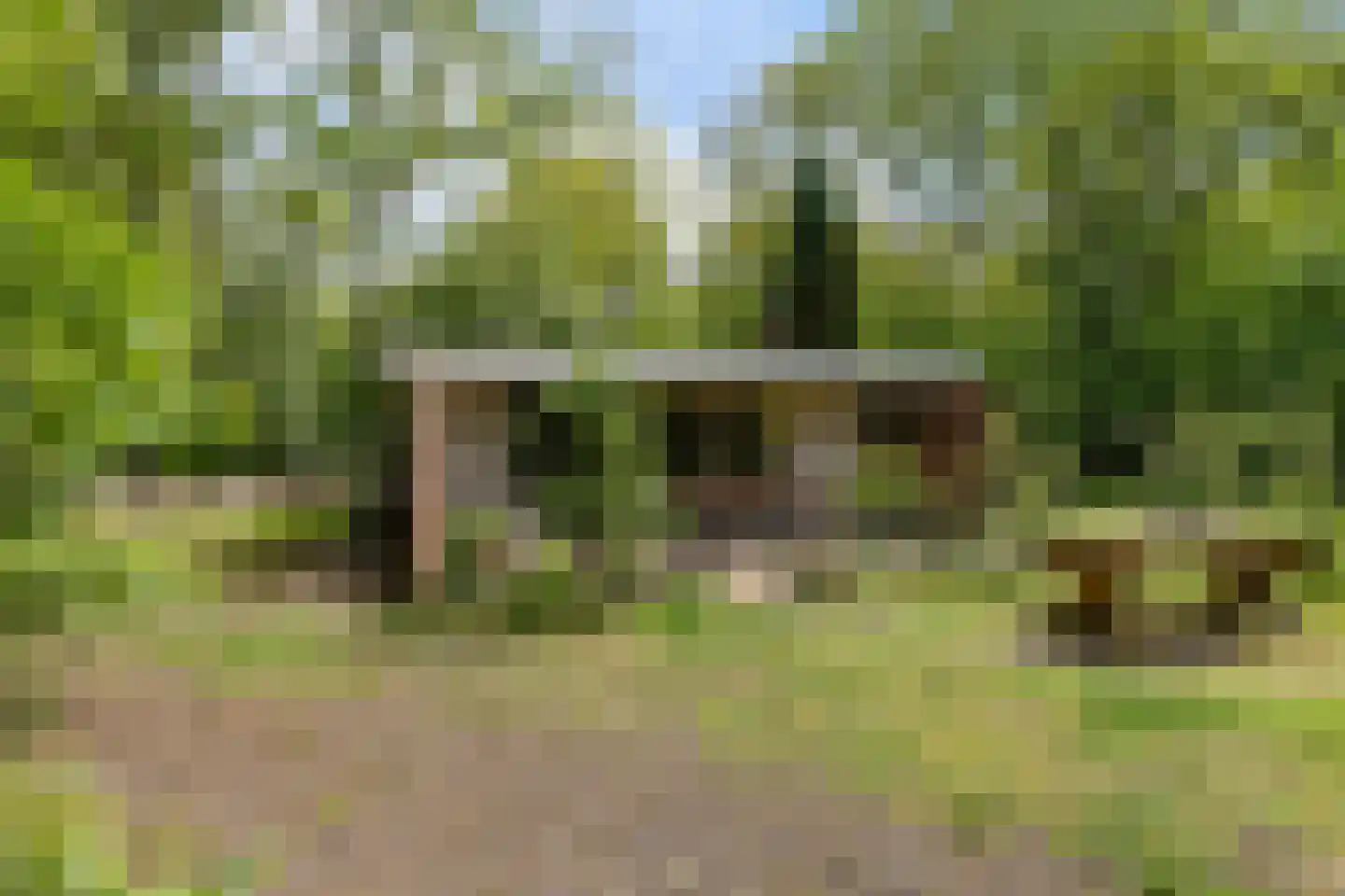Slenerweg 83 41 Schoonoord thumbnail 8