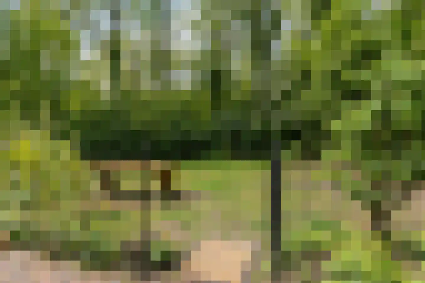 Slenerweg 83 41 Schoonoord thumbnail 9