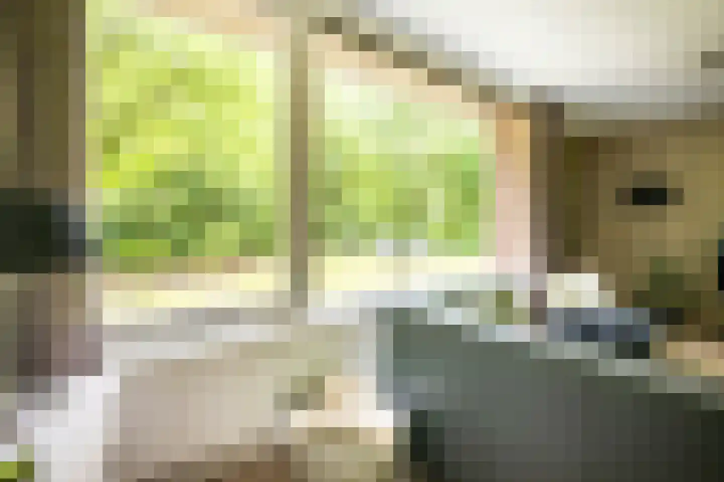Slenerweg 83 42 Schoonoord thumbnail 12