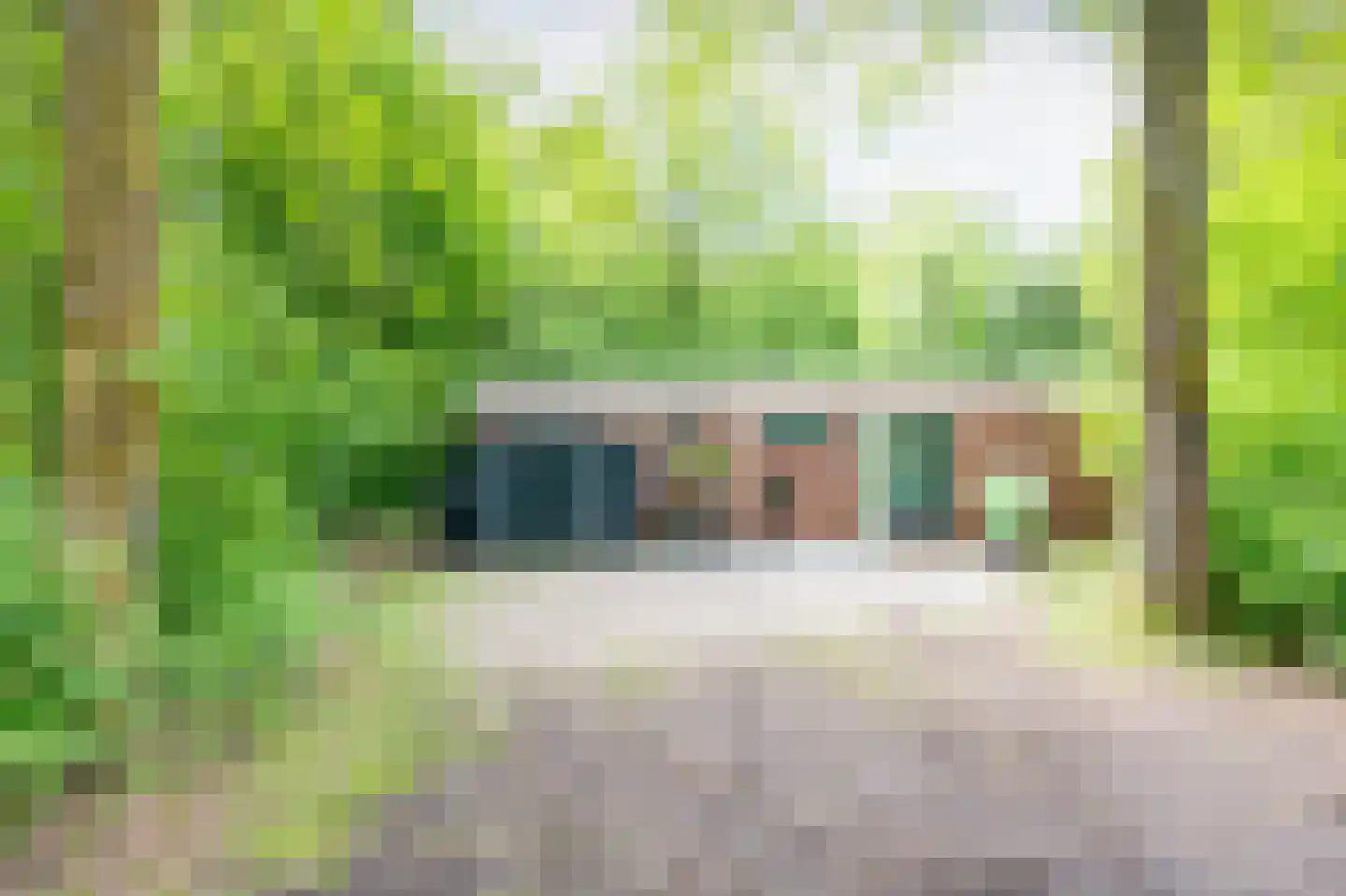 Slenerweg 83 42 Schoonoord thumbnail 26