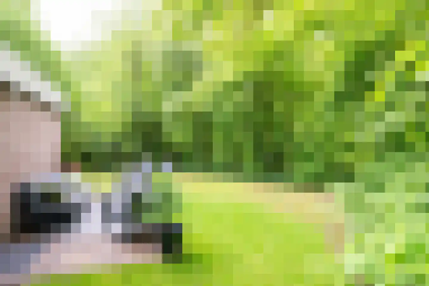 Slenerweg 83 42 Schoonoord thumbnail 28