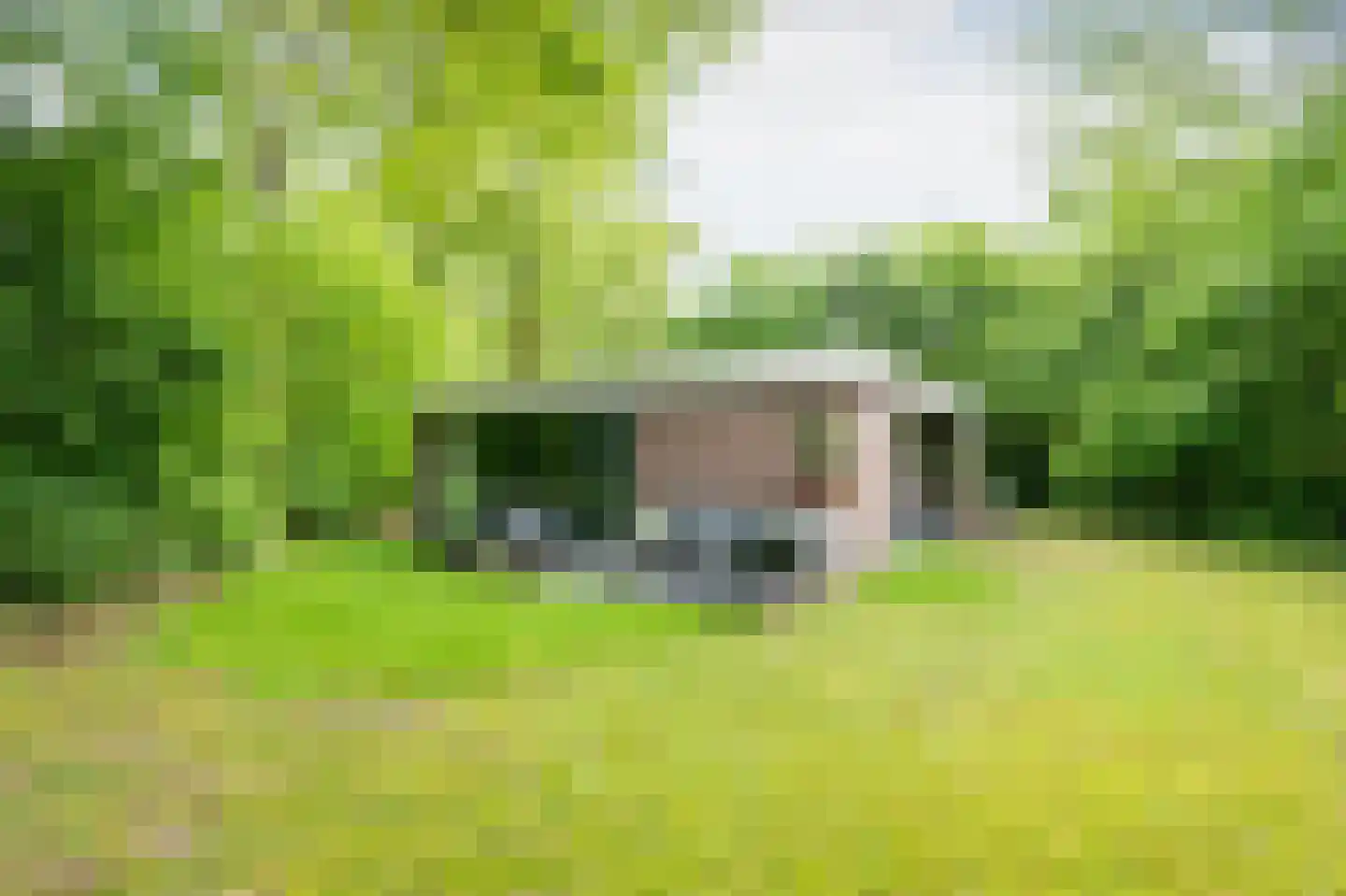 Slenerweg 83 42 Schoonoord thumbnail 30