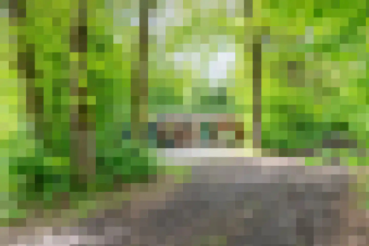 Slenerweg 83 42 Schoonoord thumbnail 4