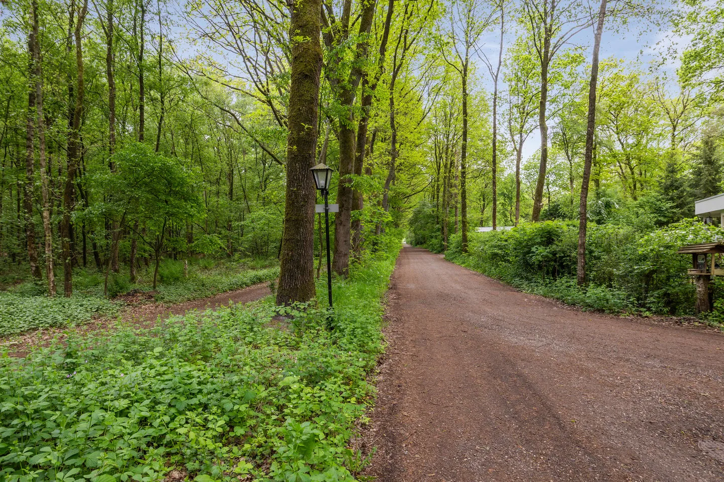 Slenerweg 83 48 Schoonoord thumbnail 43