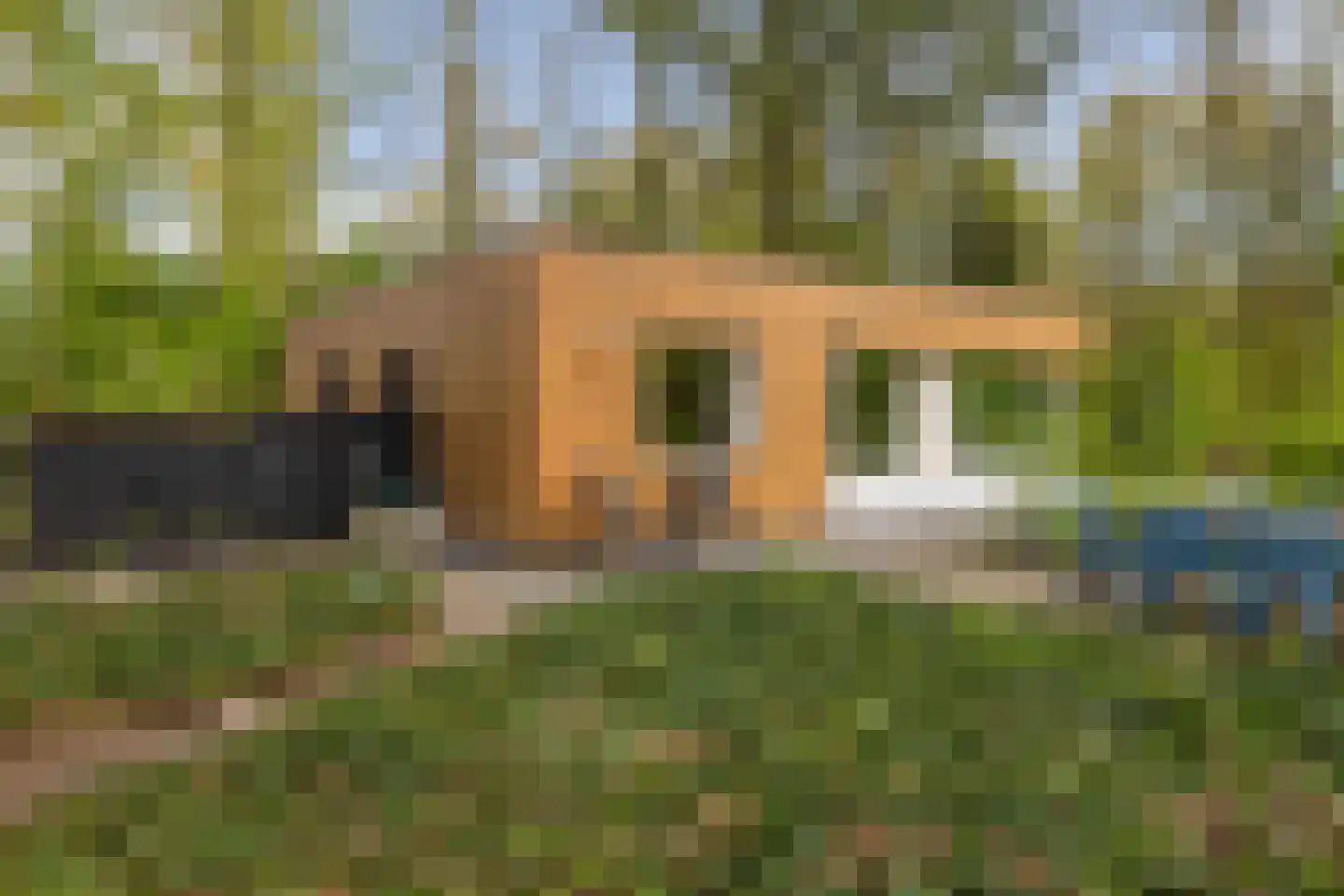 Slenerweg 83 54 Schoonoord thumbnail 24