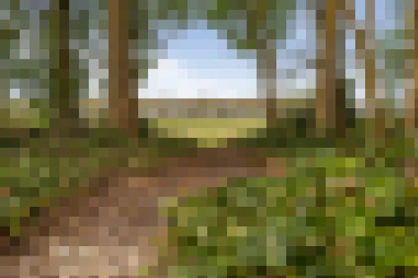 Slenerweg 83 54 Schoonoord thumbnail 26