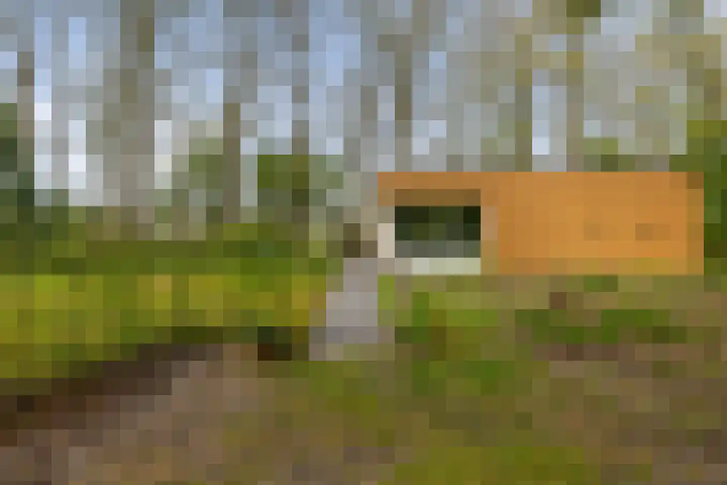 Slenerweg 83 54 Schoonoord thumbnail 27