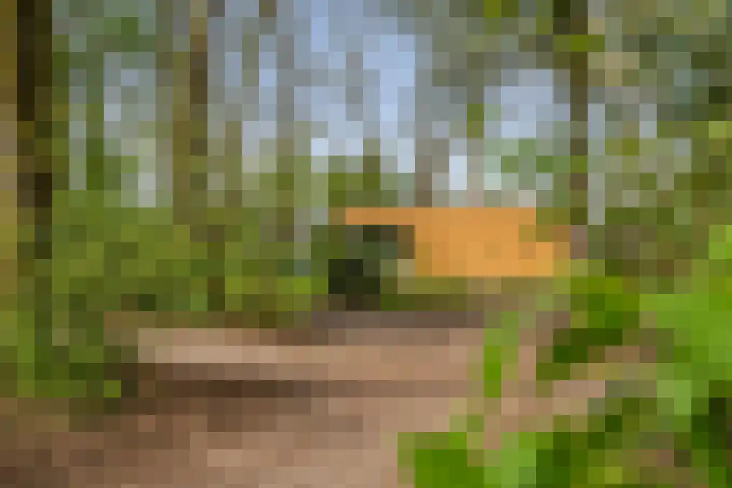Slenerweg 83 54 Schoonoord thumbnail 28