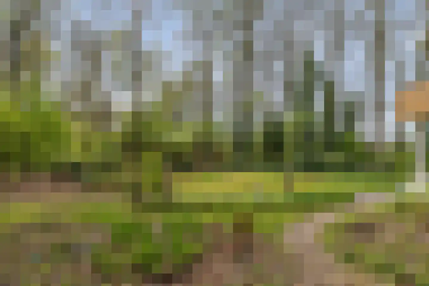 Slenerweg 83 54 Schoonoord thumbnail 29