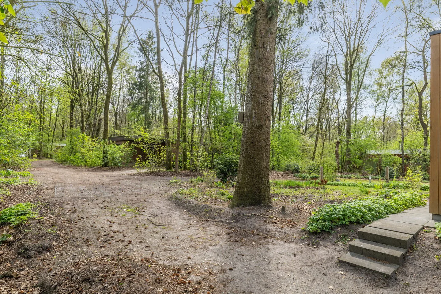 Slenerweg 83 54 Schoonoord thumbnail 30