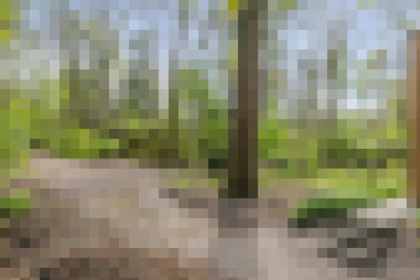 Slenerweg 83 54 Schoonoord thumbnail 30