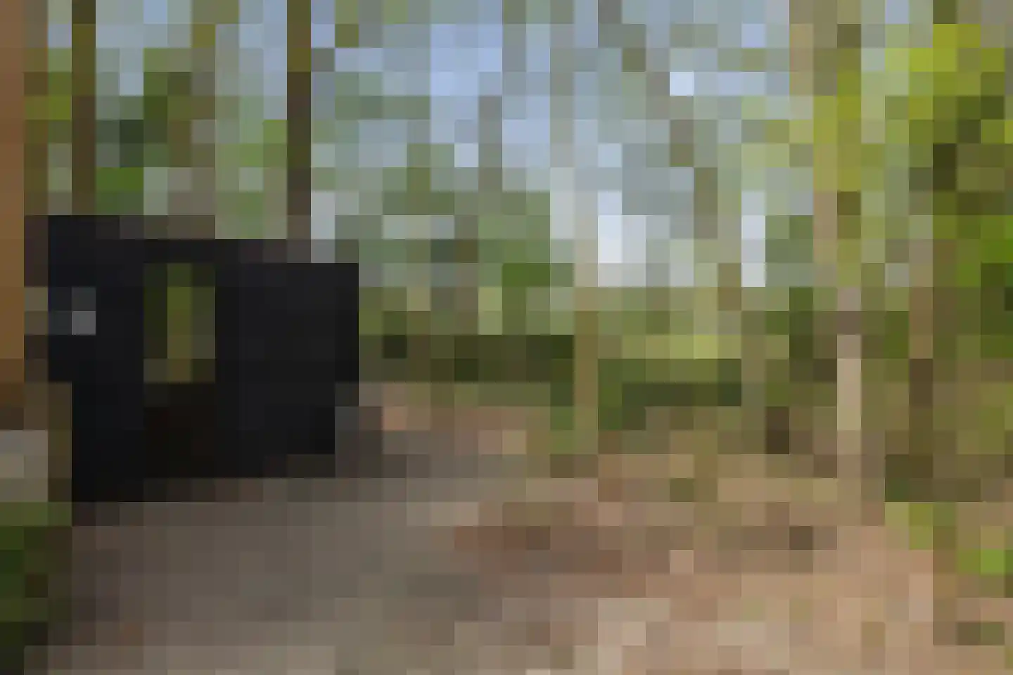 Slenerweg 83 54 Schoonoord thumbnail 31