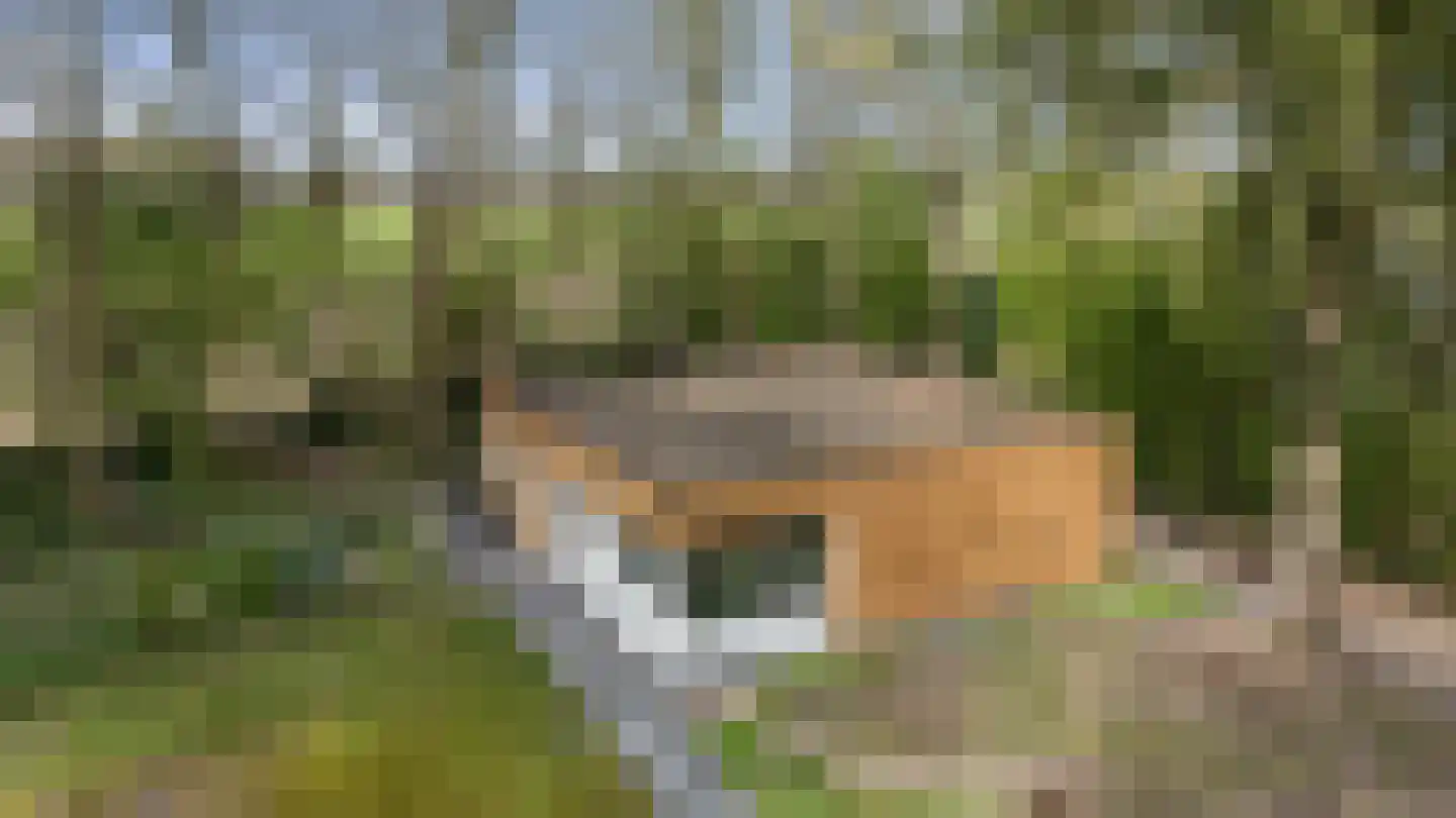 Slenerweg 83 54 Schoonoord thumbnail 33