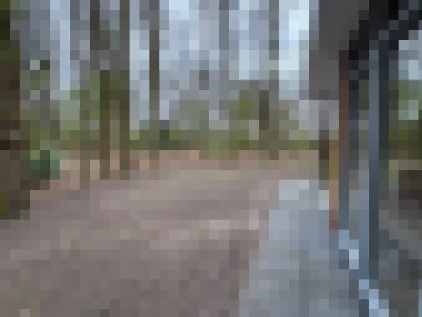 Slenerweg 83 57 Schoonoord thumbnail 5