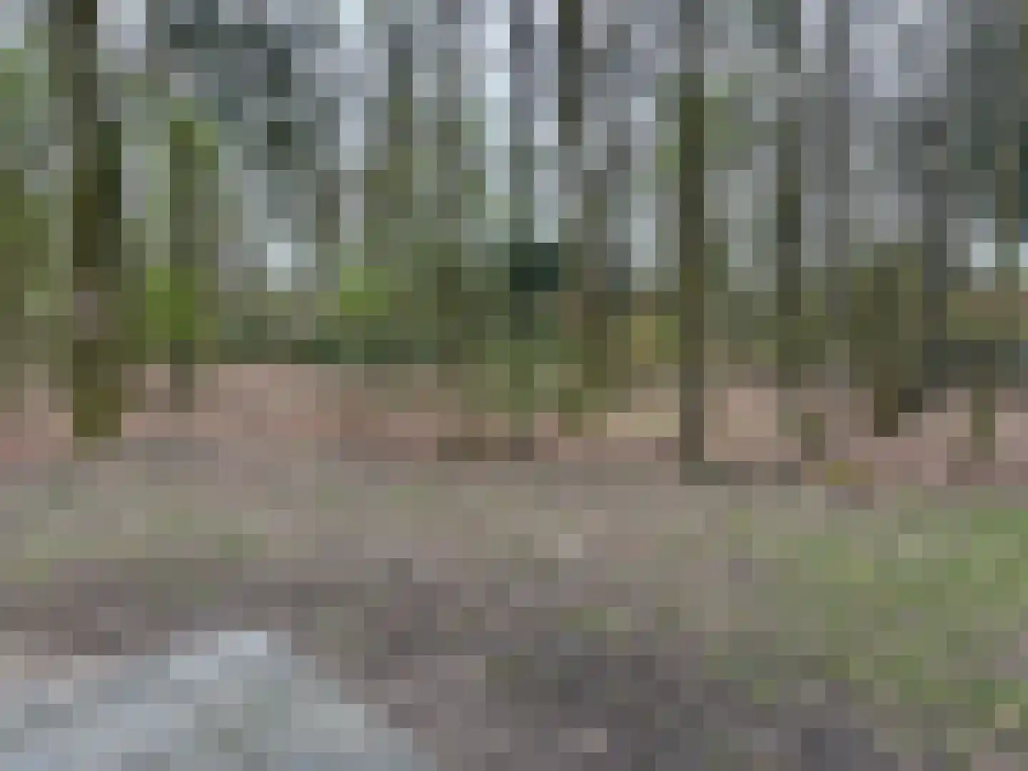 Slenerweg 83 57 Schoonoord thumbnail 6