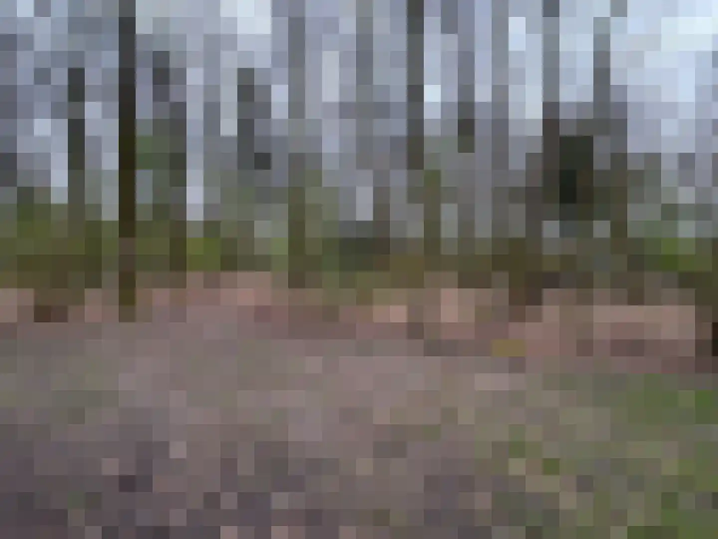 Slenerweg 83 57 Schoonoord thumbnail 7