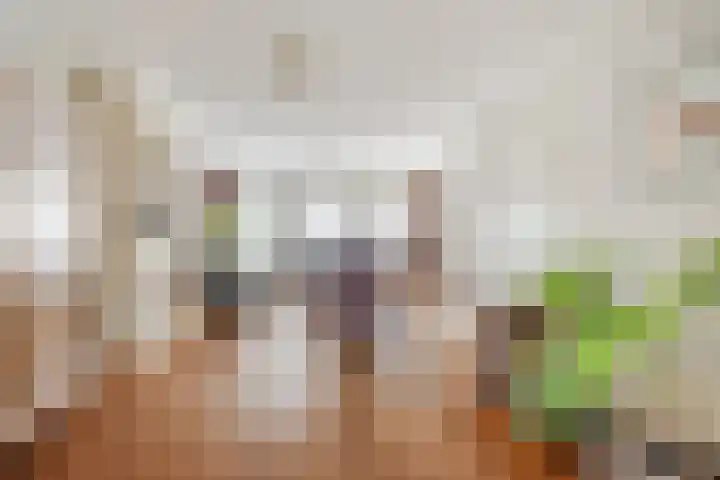Slenk 63 Gemert thumbnail 12