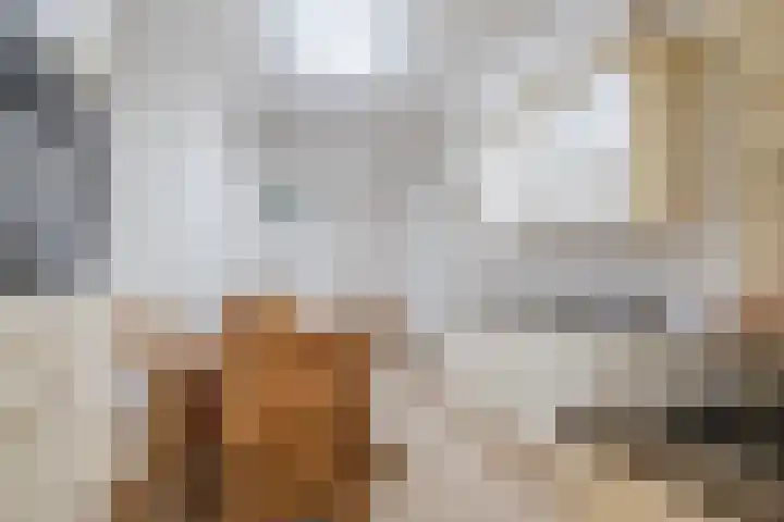 Slenk 63 Gemert thumbnail 15