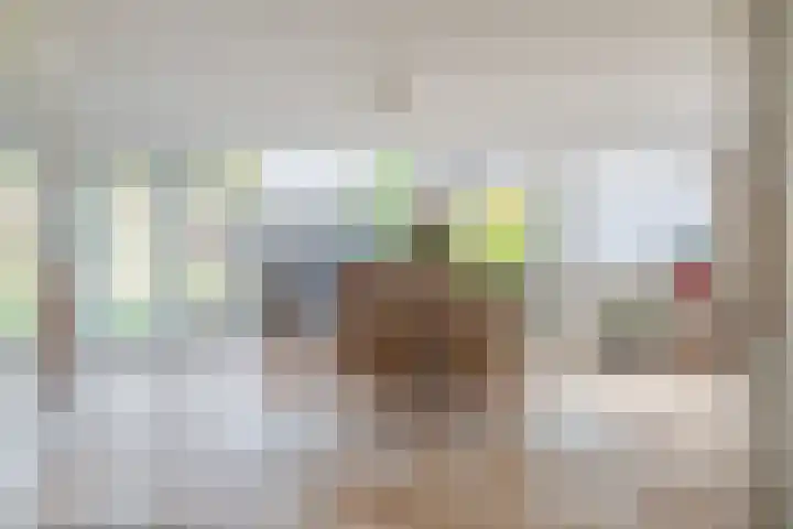 Slenk 63 Gemert thumbnail 16