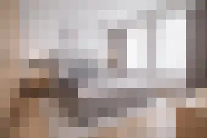 Slenk 63 Gemert thumbnail 22