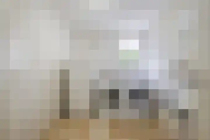 Slenk 63 Gemert thumbnail 26