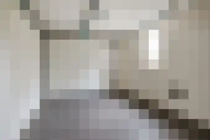 Slenk 63 Gemert thumbnail 28