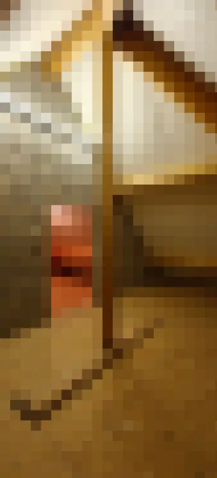 Slenk 63 Gemert thumbnail 37