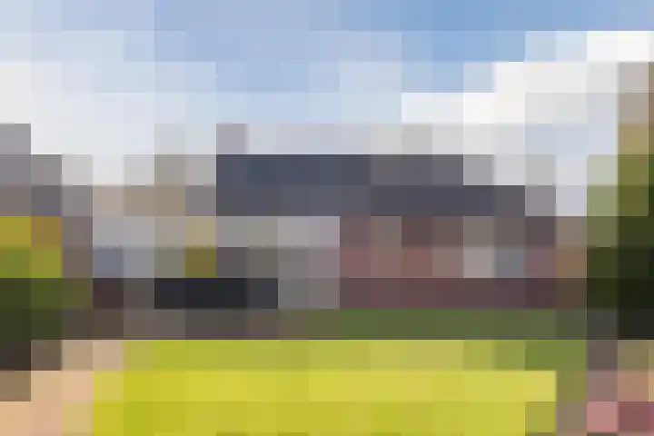 Slenk 63 Gemert thumbnail 38
