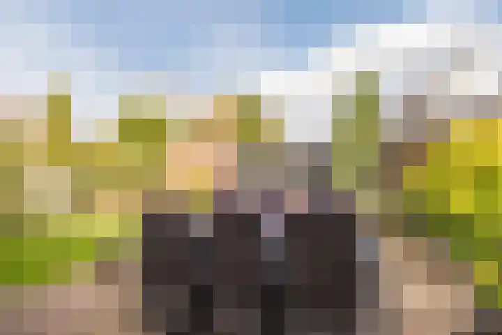 Slenk 63 Gemert thumbnail 40