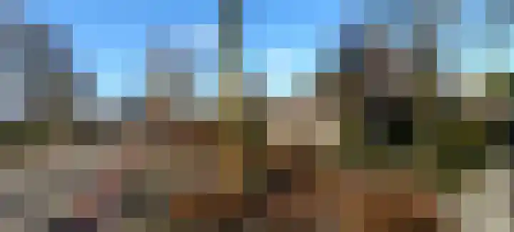 Slenk 63 Gemert thumbnail 46
