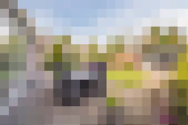 Slenk 63 Gemert thumbnail 5