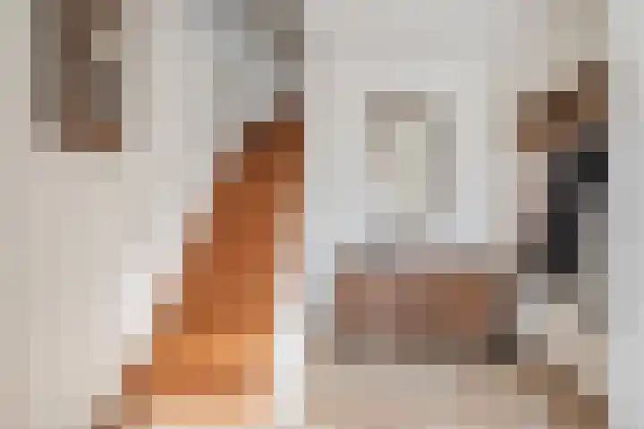 Slenk 63 Gemert thumbnail 6