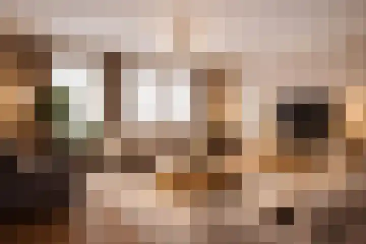 Slenk 63 Gemert thumbnail 9