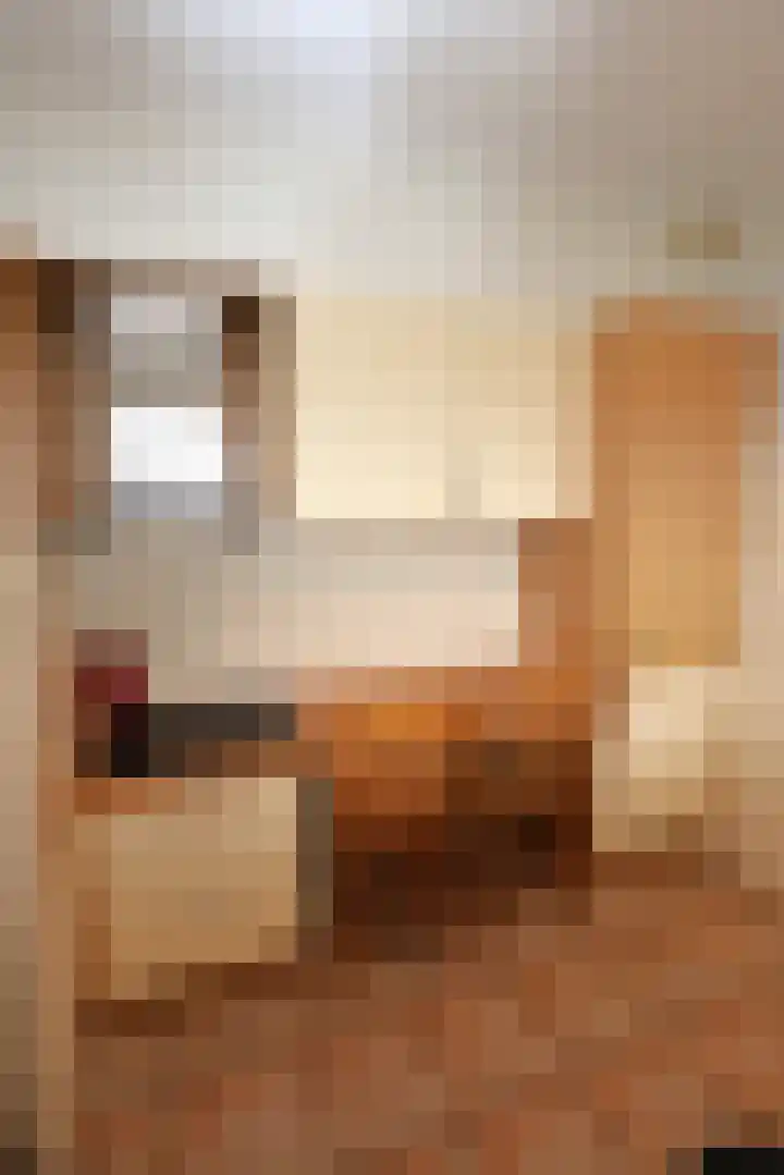 Slenk 7 Sneek thumbnail 12