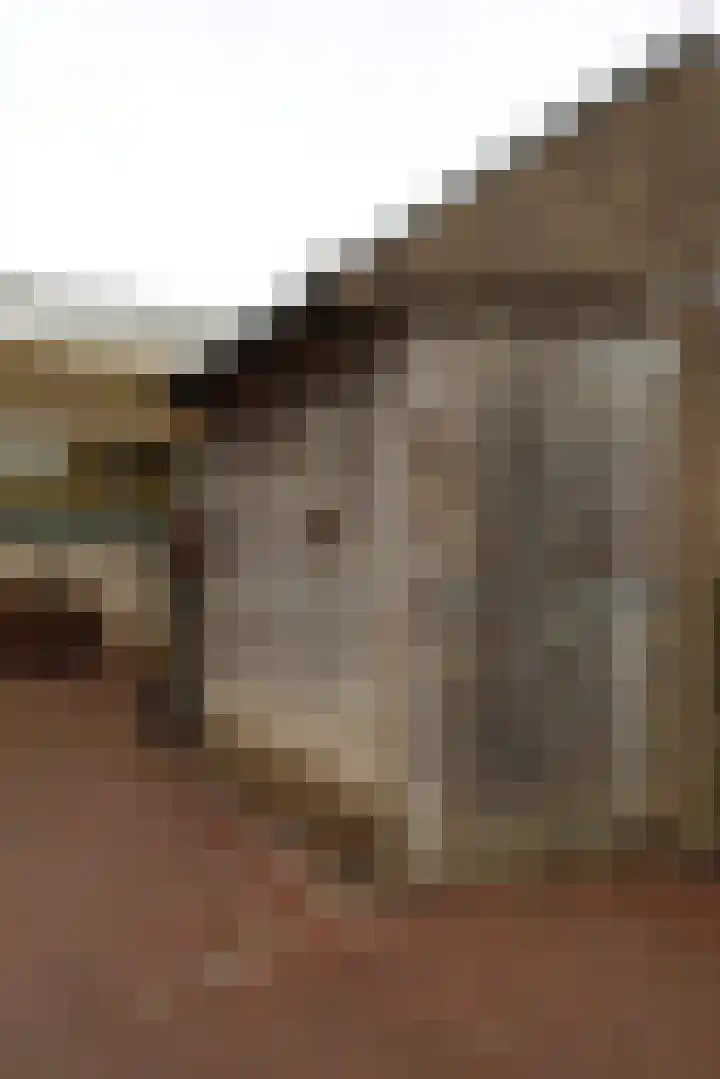 Slenk 7 Sneek thumbnail 25