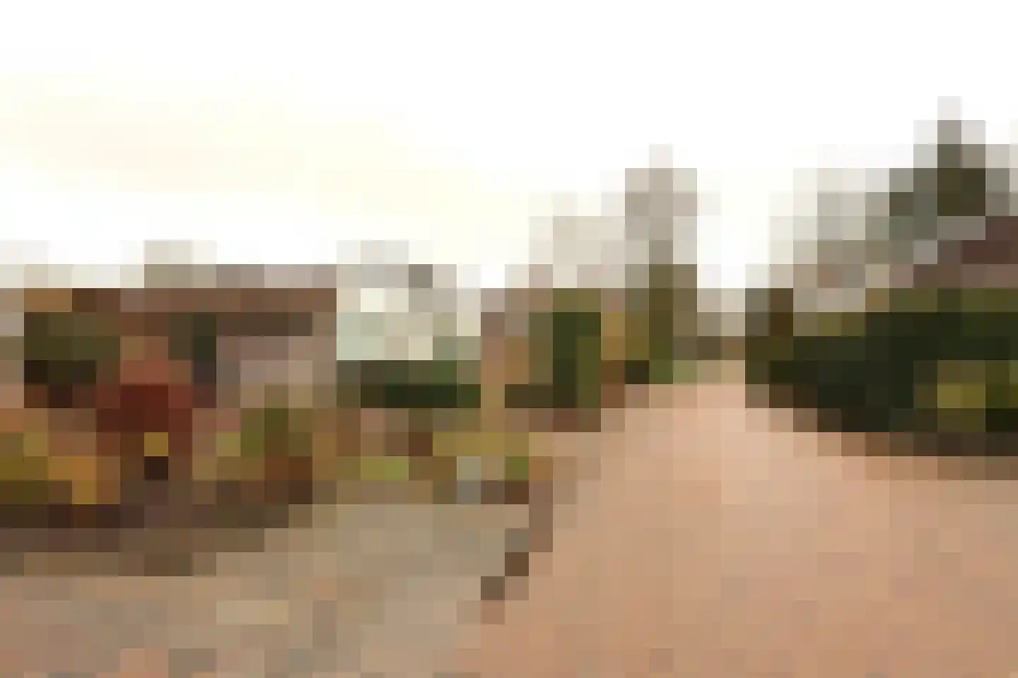 Slenk 7 Sneek thumbnail 26