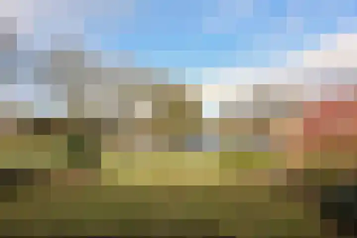 Slenk 7 Sneek thumbnail 4
