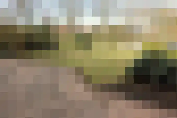 Slenk 7 Sneek thumbnail 5