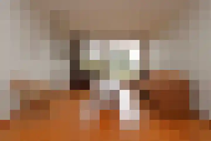Slenk 7 Sneek thumbnail 6