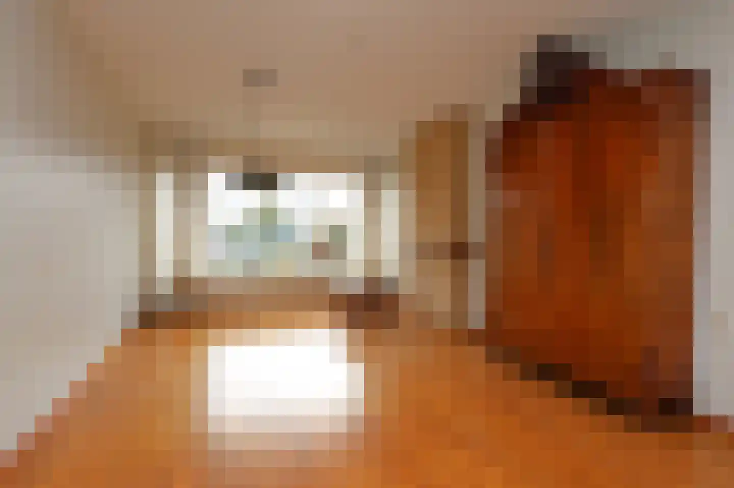 Slenk 7 Sneek thumbnail 7
