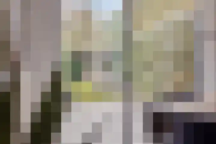 Slenk 73 Gemert thumbnail 10