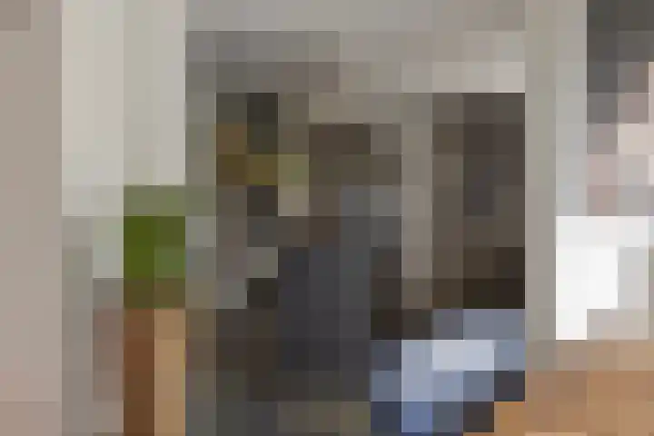 Slenk 73 Gemert thumbnail 11