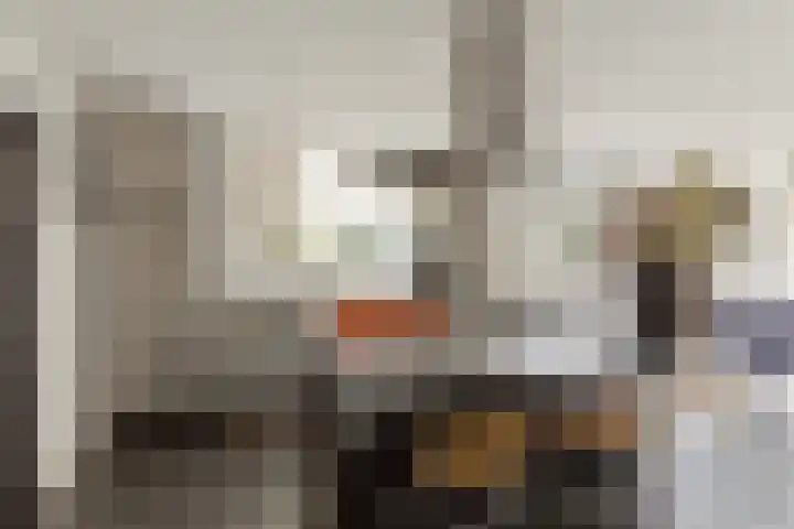 Slenk 73 Gemert thumbnail 13