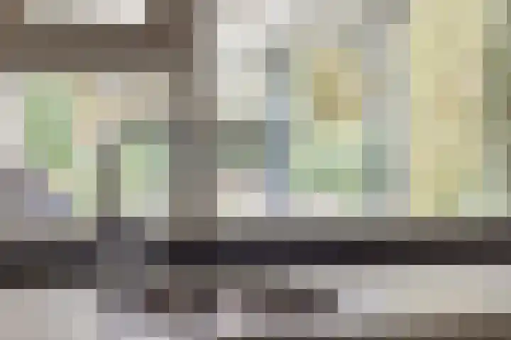 Slenk 73 Gemert thumbnail 14