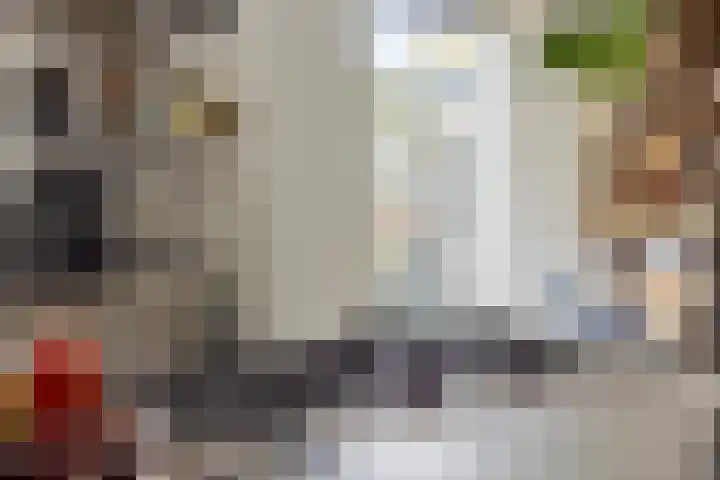 Slenk 73 Gemert thumbnail 15