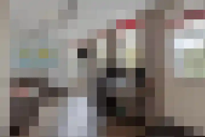 Slenk 73 Gemert thumbnail 16