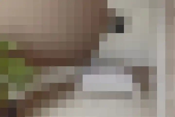 Slenk 73 Gemert thumbnail 18