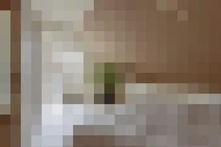 Slenk 73 Gemert thumbnail 19